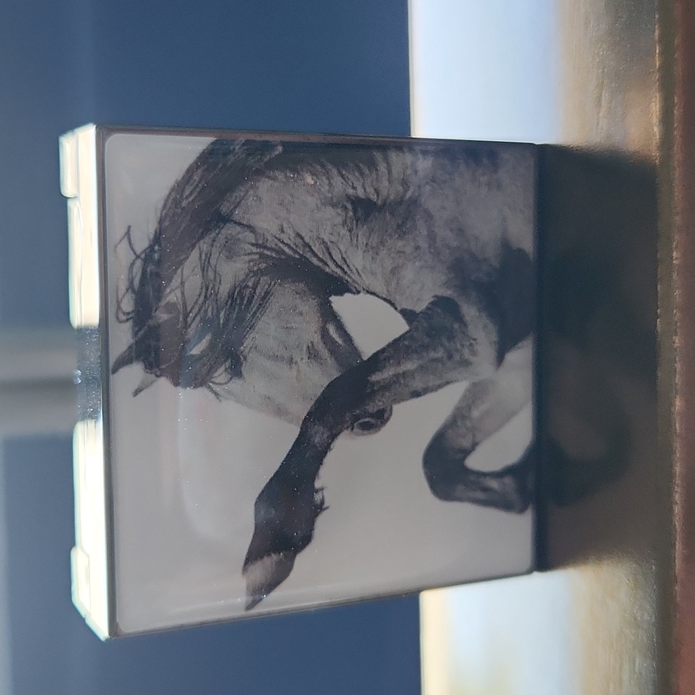 Chantecaille Luminescent Eye Shade in Pinto